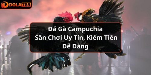 Đá Gà Campuchia - Sân Chơi Uy Tín, Kiếm Tiền Dễ Dàng